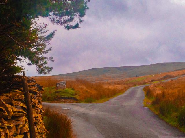 A fork in the road in foggy, autumn hills.