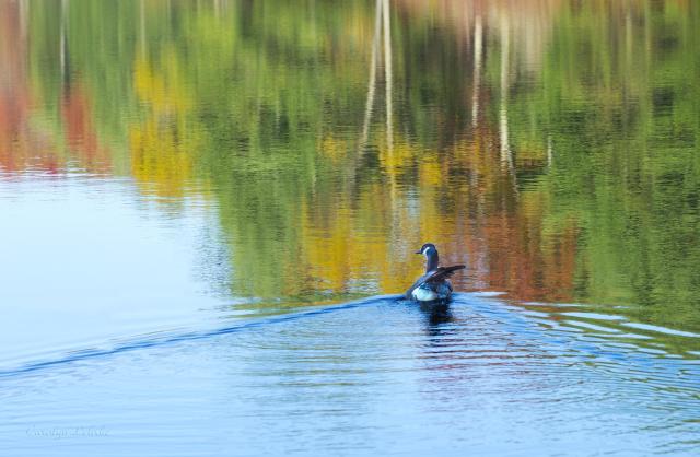 Fall is full of energy.