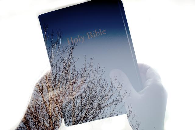 Transparent closeup of hands holding Bible with trees showing through