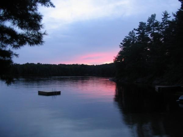 A swimming dock bobs in a woodland lake, saturated with purple and pink hues at sunset.