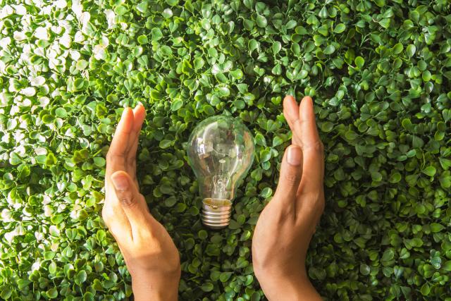 Light bulb and hand with grassy background