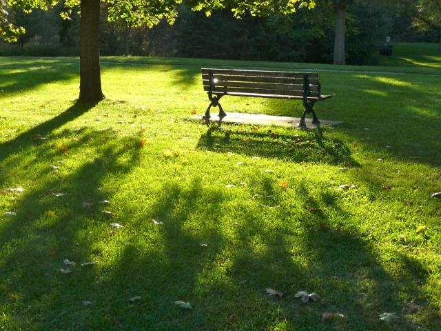 park bench