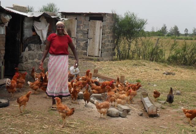 Farmer Rose Muthoni stands smiling near her chickens on her small farm in Kenya.