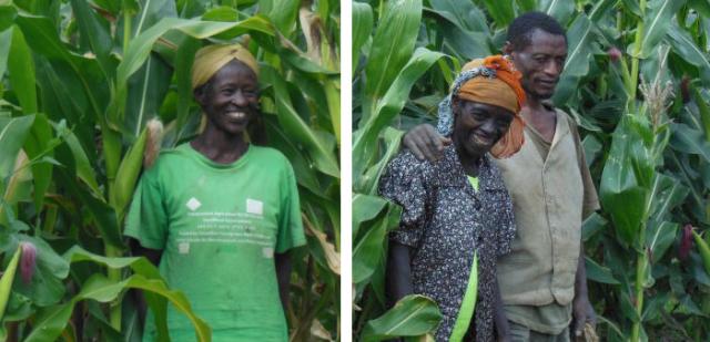 A diptych showing portraits of two women farmers in Ethiopia, both middle-aged Black women, standing in their fields against the brilliant green of corn stalks, smiling, with their hair tied in scarfs. One of the women appears with her husband.