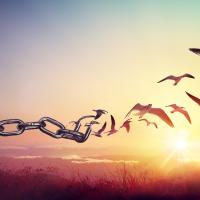 an illustration of chains transforming into free birds in a sunrise