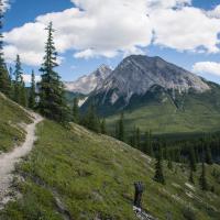 A trail winds its way through the mountains of Alberta.