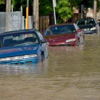 Parked cars on a Calgary street are almost covered in flood waters