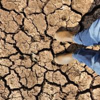 Feet in a pair of boots standing on very cracked, dry, ground