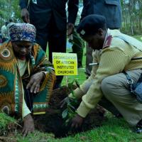 Two people planting a small plant in soil