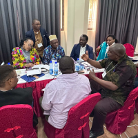 A group of African people sit around a long table in a board room having a discussion