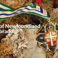 The medal of the Order of Newfoundland and Labrador