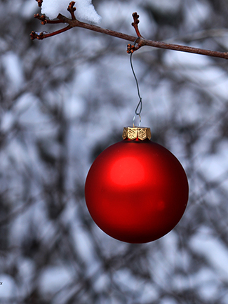 Photo of red Christmas bulb hanging on a frozen tree