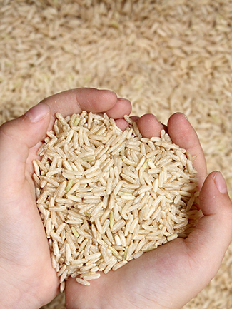 Hands holding grains of rice in the shape of a heart